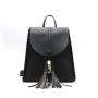 new design backpack for women supplier hot selling bags lady leisure travel backpack for 2024