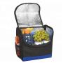 Thermal small polyester cool carry insulated picnic ice cooler bag