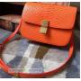OEM ODM Customized Famous Designer Luxury Fashion Genuine Exotic Snake Skin Leather Crossbody Square Bags Handbags