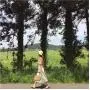 New Summer Straw Personality Small Tote Refreshing Rattan Beach Handbag Fashionable Ladies Handbags